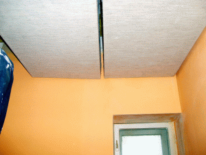 drumbooth suspended ceiling 1